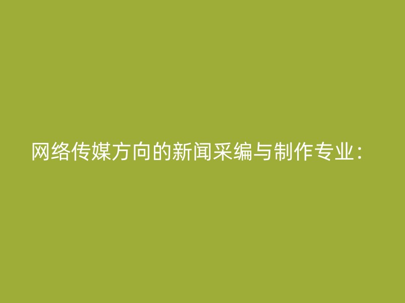 网络传媒方向的新闻采编与制作专业：