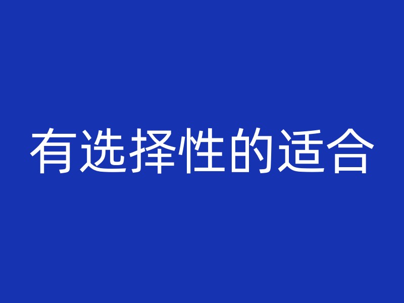 有选择性的适合