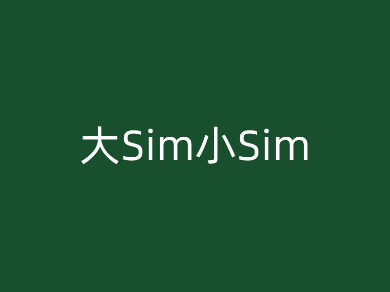 大Sim小Sim