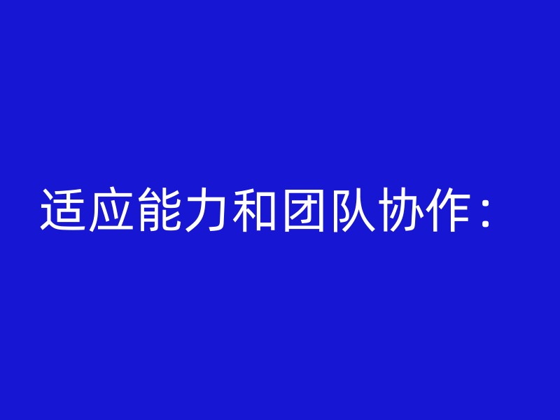 适应能力和团队协作：