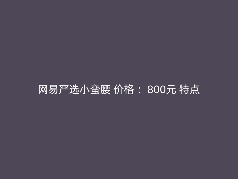 网易严选小蛮腰 价格 ：800元 特点