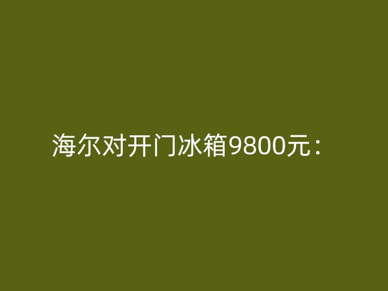 海尔对开门冰箱9800元：