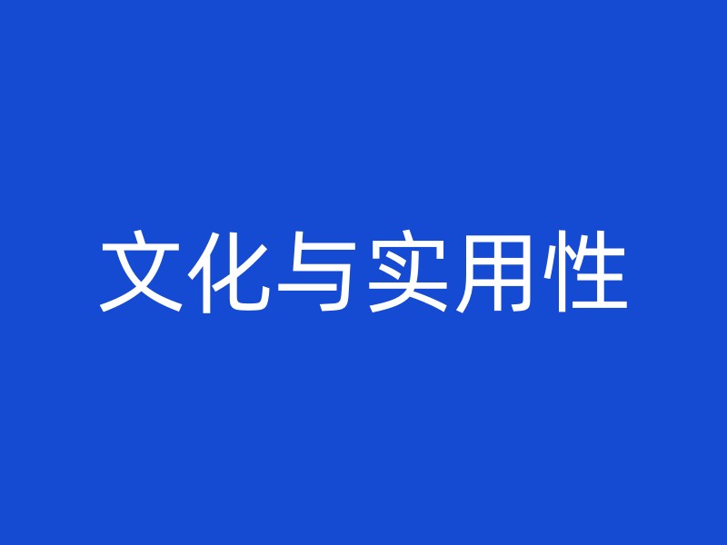 文化与实用性