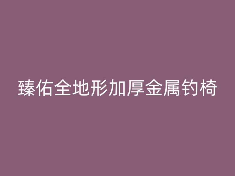 臻佑全地形加厚金属钓椅