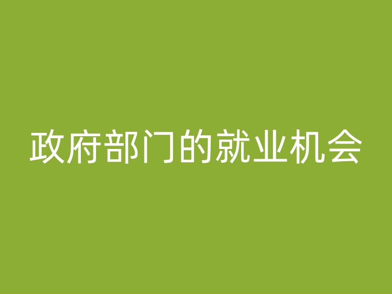 政府部门的就业机会