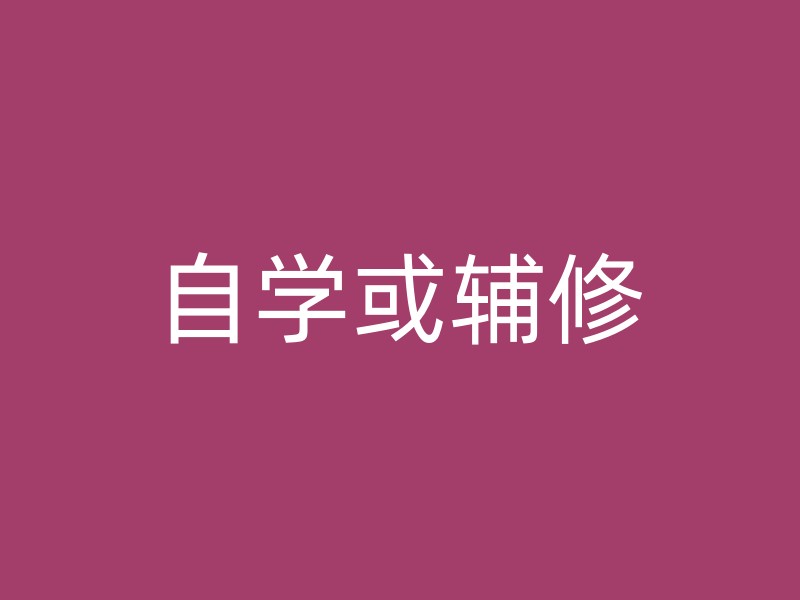 自学或辅修