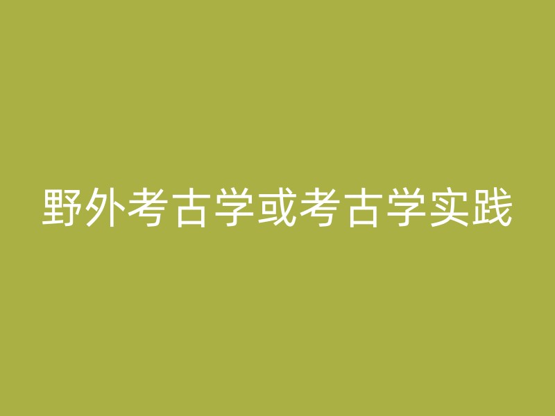 野外考古学或考古学实践