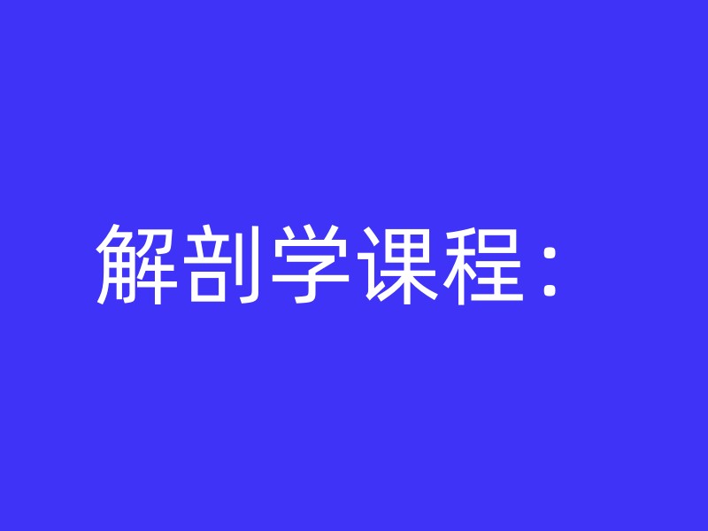 解剖学课程：