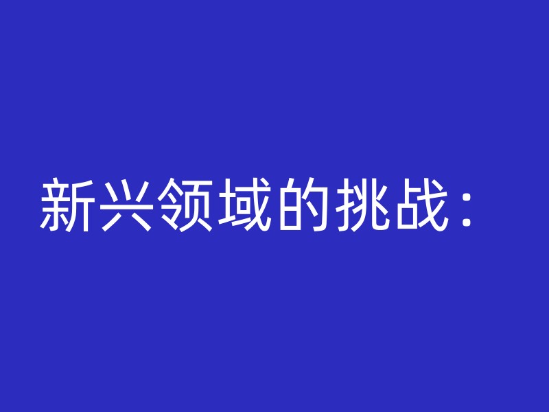 新兴领域的挑战：