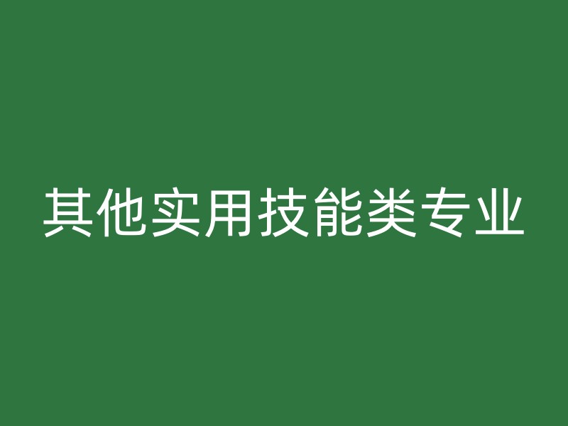 其他实用技能类专业