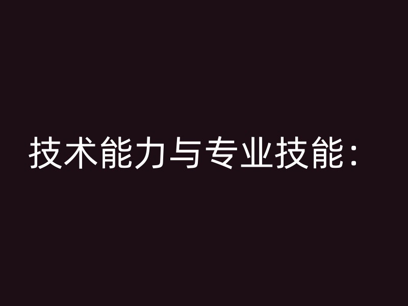 技术能力与专业技能：