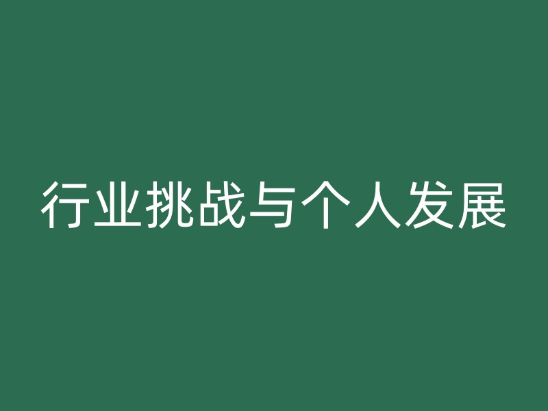 行业挑战与个人发展