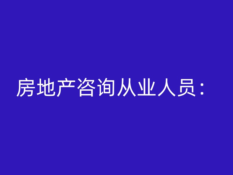 房地产咨询从业人员：