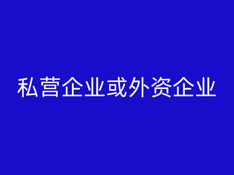 私营企业或外资企业