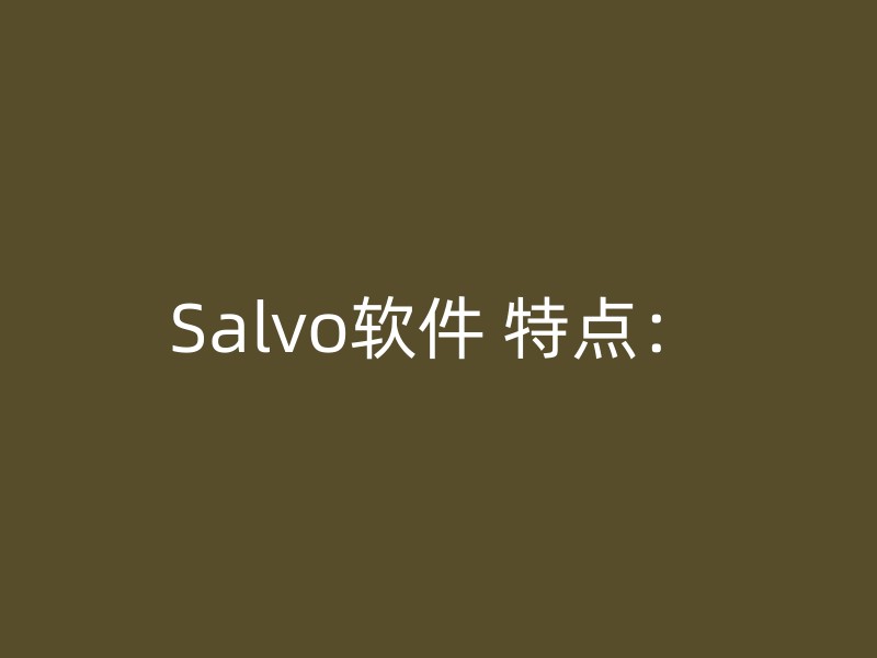 Salvo软件 特点：