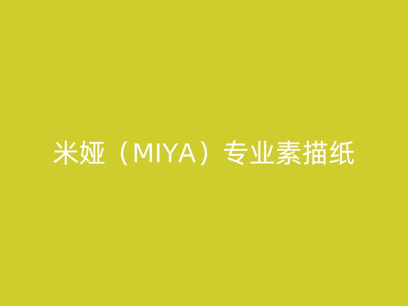 米娅（MIYA）专业素描纸