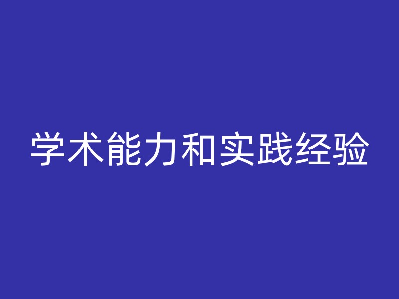 学术能力和实践经验