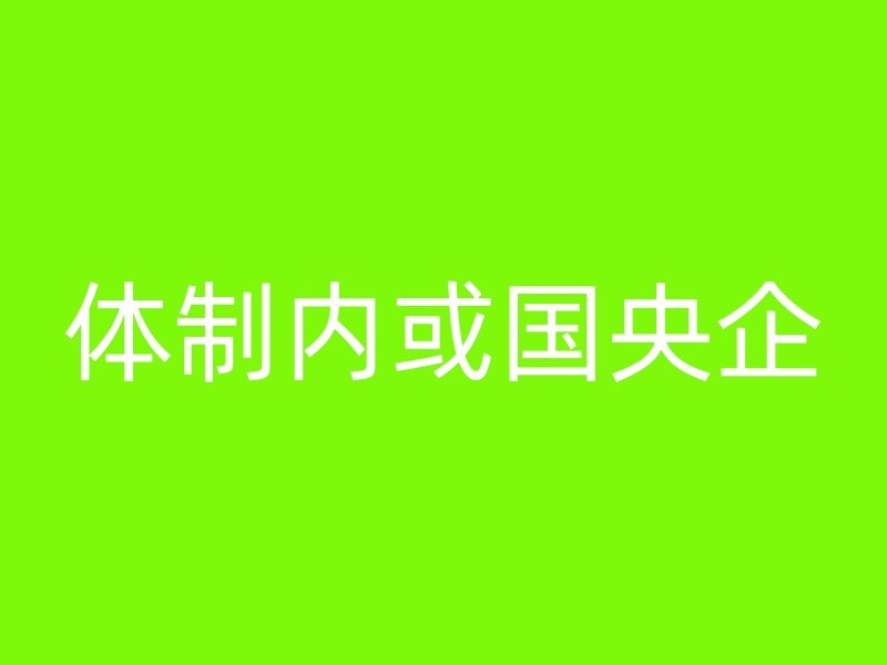 体制内或国央企