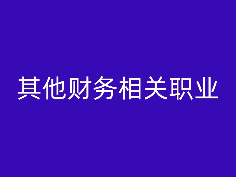 其他财务相关职业