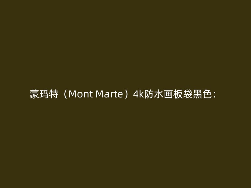 蒙玛特（Mont Marte）4k防水画板袋黑色：