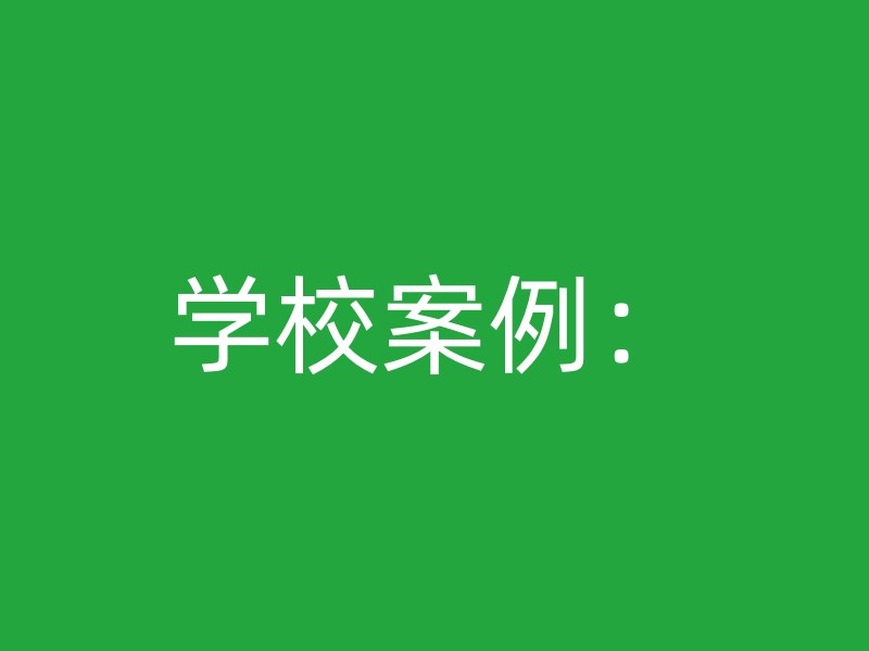 学校案例：