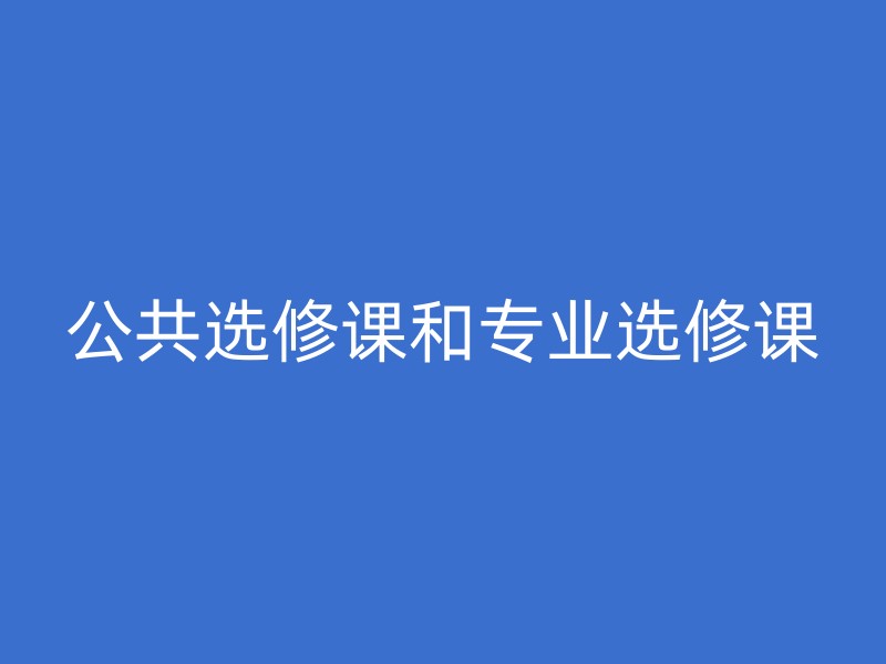 公共选修课和专业选修课