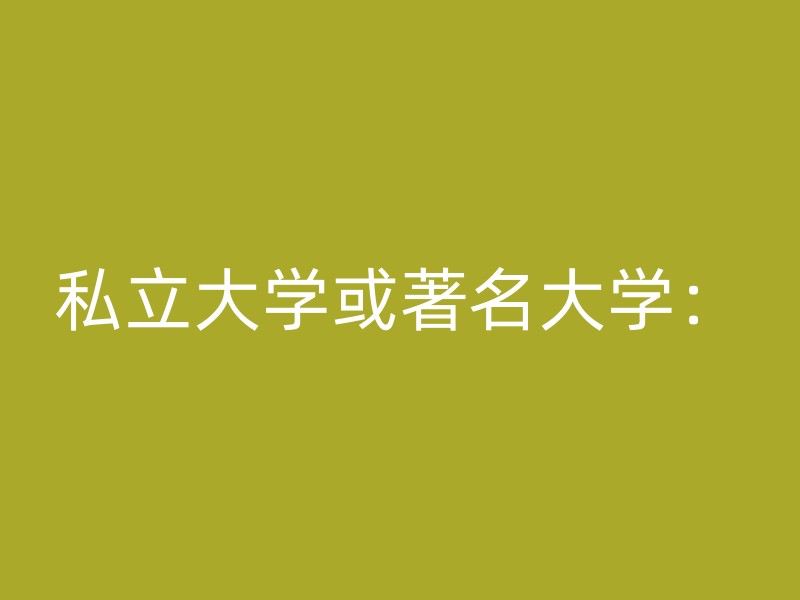 私立大学或著名大学：