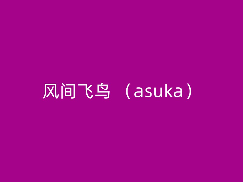 风间飞鸟 （asuka）