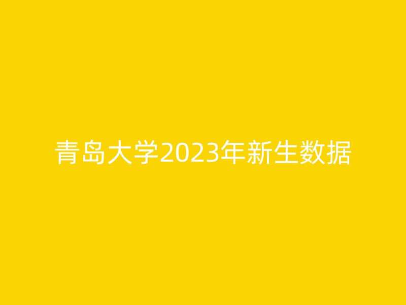 青岛大学2023年新生数据