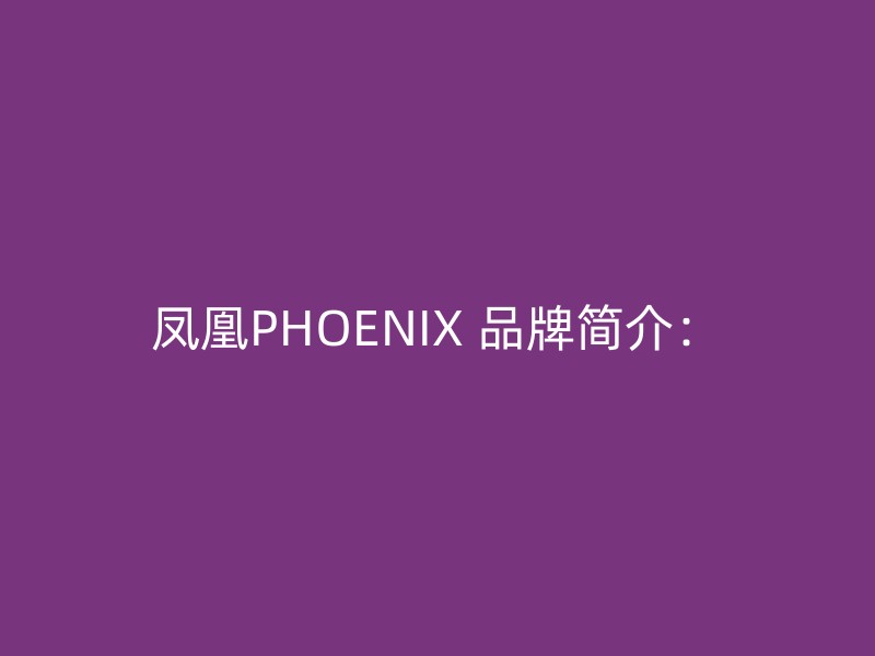 凤凰PHOENIX 品牌简介：