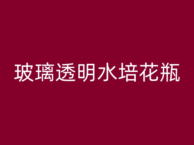 玻璃透明水培花瓶