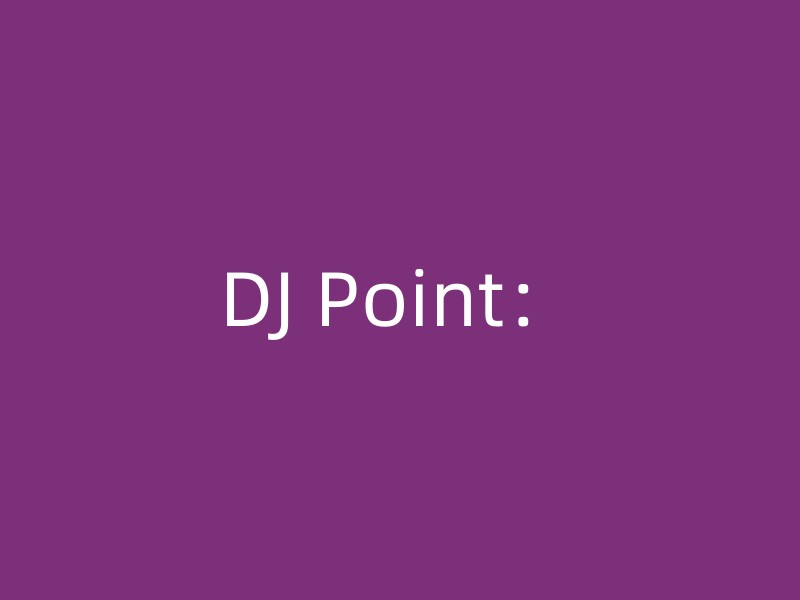 DJ Point：