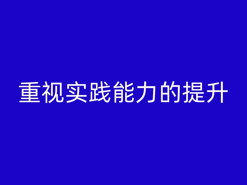 重视实践能力的提升