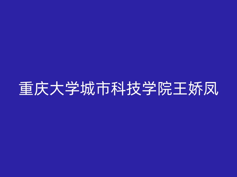 重庆大学城市科技学院王娇凤