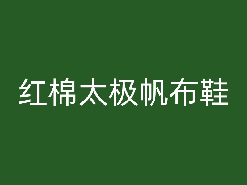 红棉太极帆布鞋