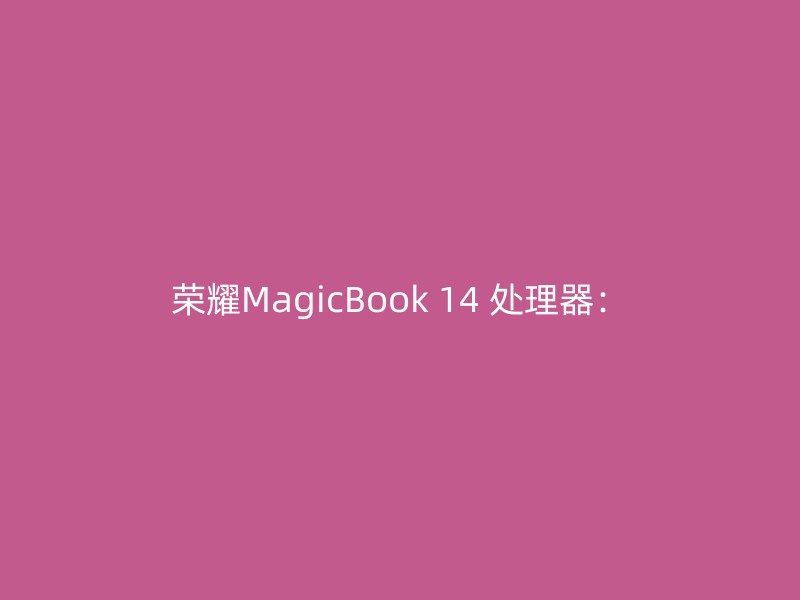 荣耀MagicBook 14 处理器：