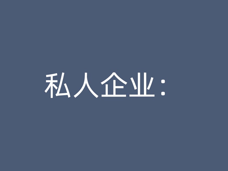 私人企业：