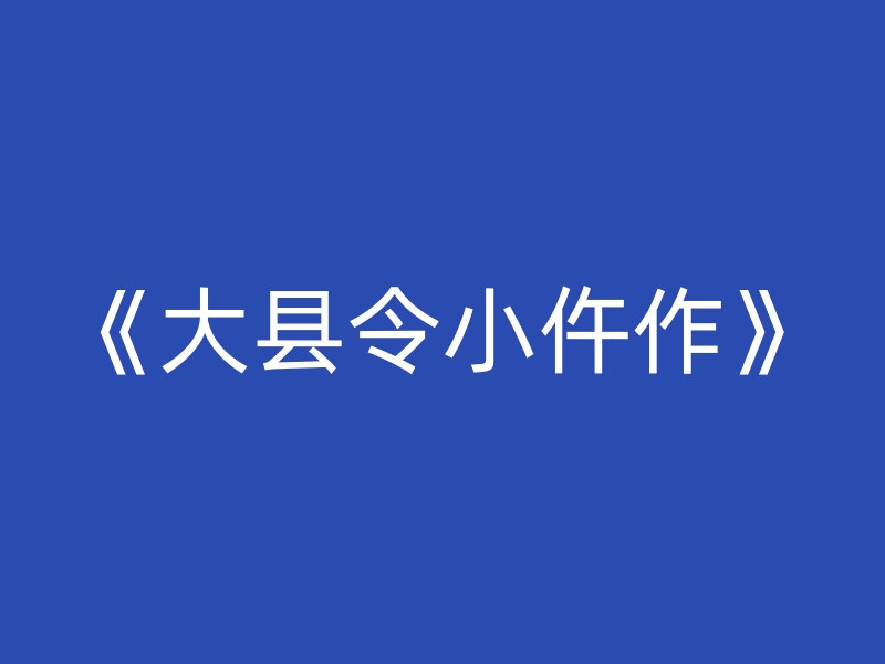 《大县令小仵作》