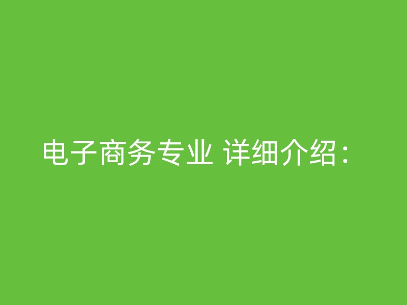 电子商务专业 详细介绍：