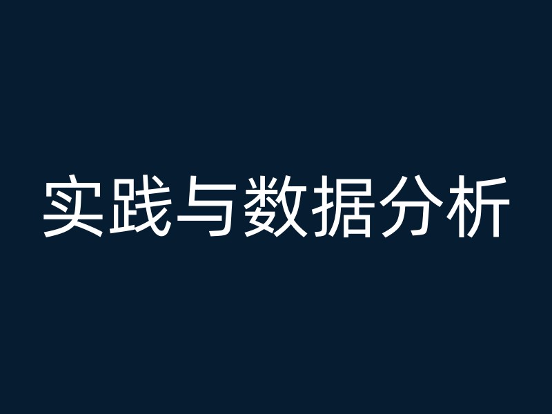 实践与数据分析