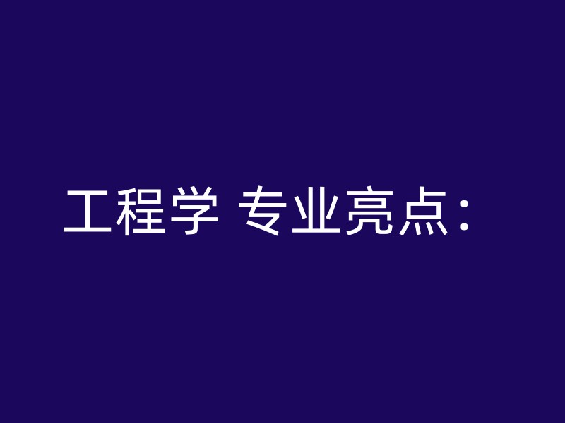 工程学 专业亮点：