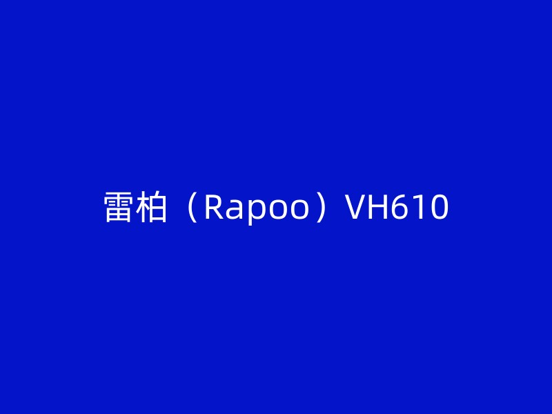 雷柏（Rapoo）VH610