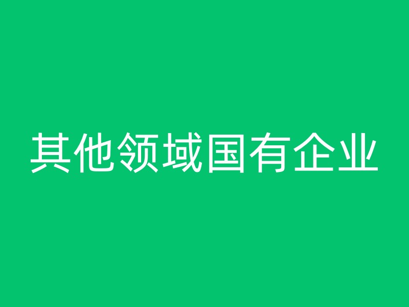 其他领域国有企业