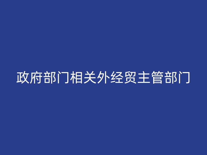 政府部门相关外经贸主管部门