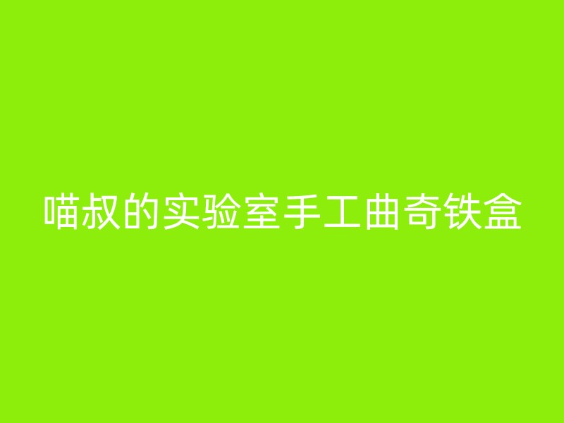 喵叔的实验室手工曲奇铁盒