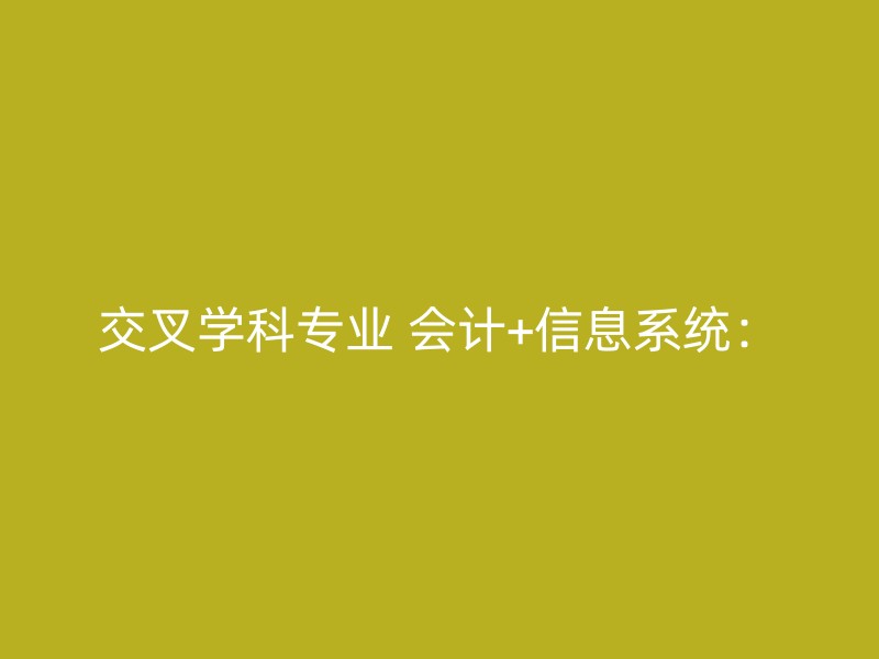 交叉学科专业 会计+信息系统：