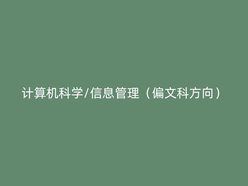 计算机科学/信息管理（偏文科方向）