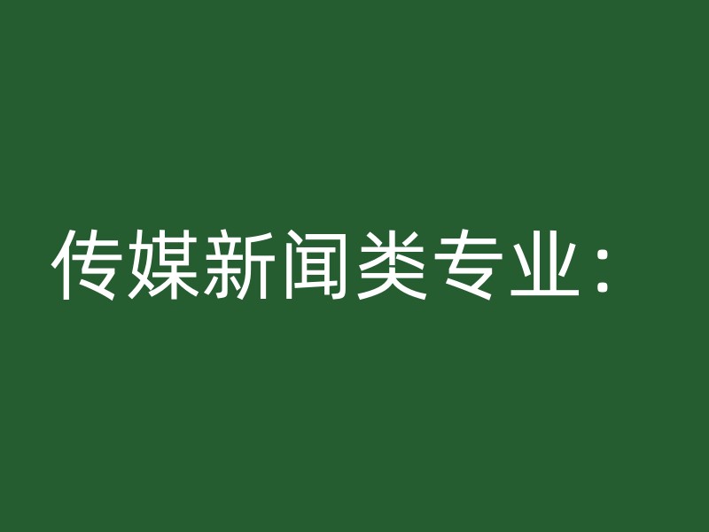 传媒新闻类专业：