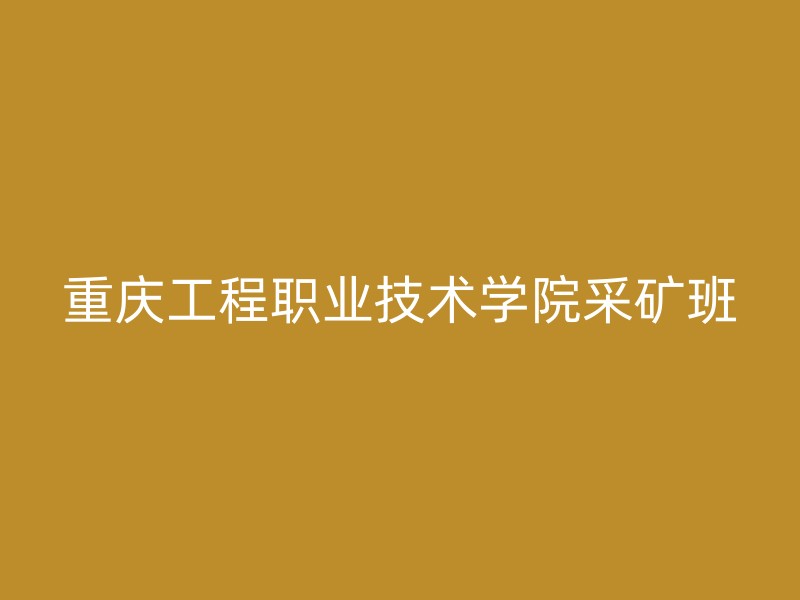 重庆工程职业技术学院采矿班