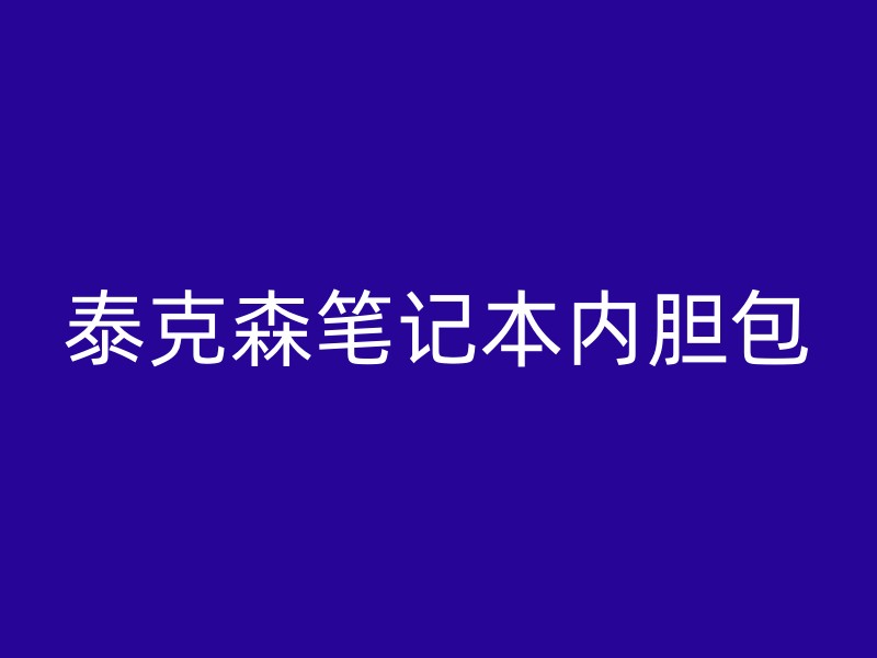 泰克森笔记本内胆包